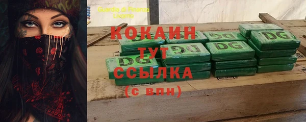 гашик Осташков