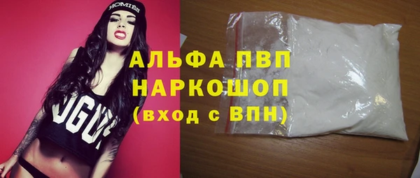 хмурый Осинники