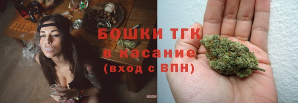 хмурый Осинники