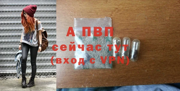 гашик Осташков