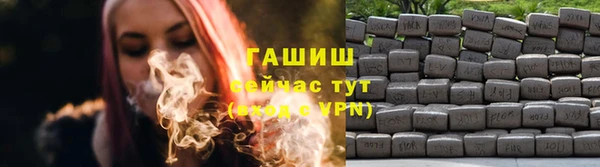 гашик Осташков