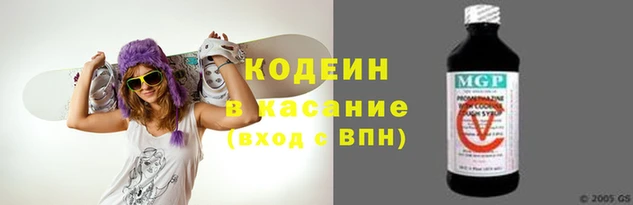 хмурый Осинники