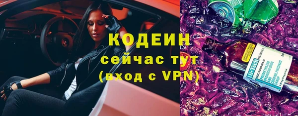 хмурый Осинники