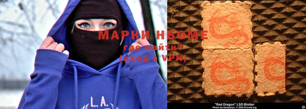 хмурый Осинники