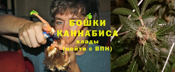 гашик Осташков