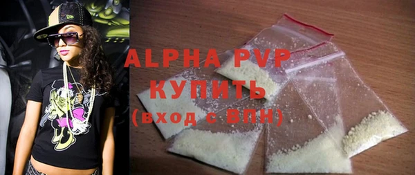 гашик Осташков