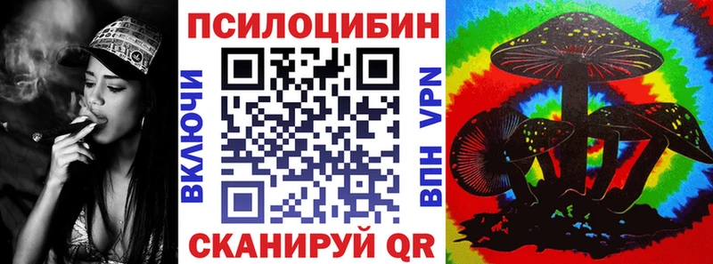 где можно купить Сасово Галлюциногенные грибы Psilocybine cubensis